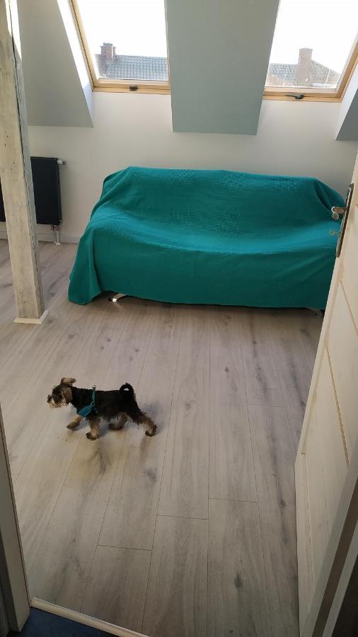 Apartament Witkacego Zielony Słupsk Eksteriør bilde