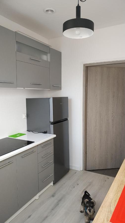 Apartament Witkacego Zielony Słupsk Eksteriør bilde